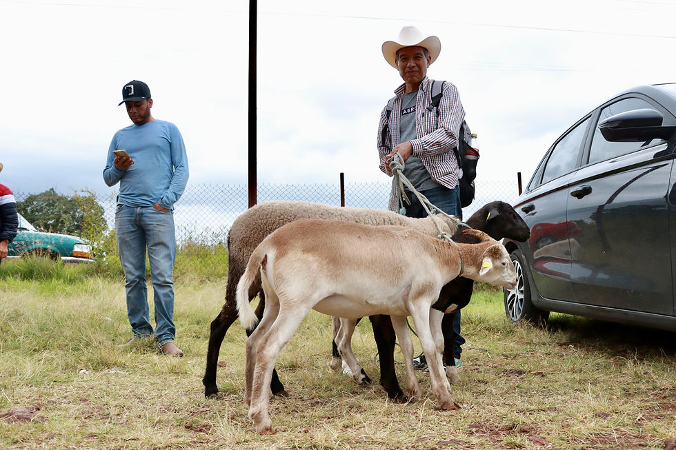 Entrega Saderh cerca de 7 MDP en apoyos al campo hidalguense