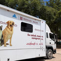 Personal médico veterinario realizando cirugías de esterilización canina y felina dentro de la unidad móvil en Huasca.