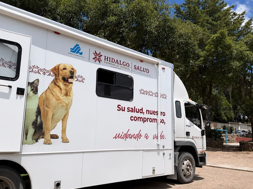 Personal médico veterinario realizando cirugías de esterilización canina y felina dentro de la unidad móvil en Huasca.