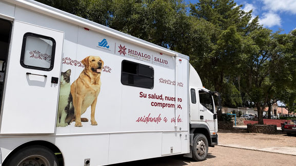 Personal médico veterinario realizando cirugías de esterilización canina y felina dentro de la unidad móvil en Huasca.
