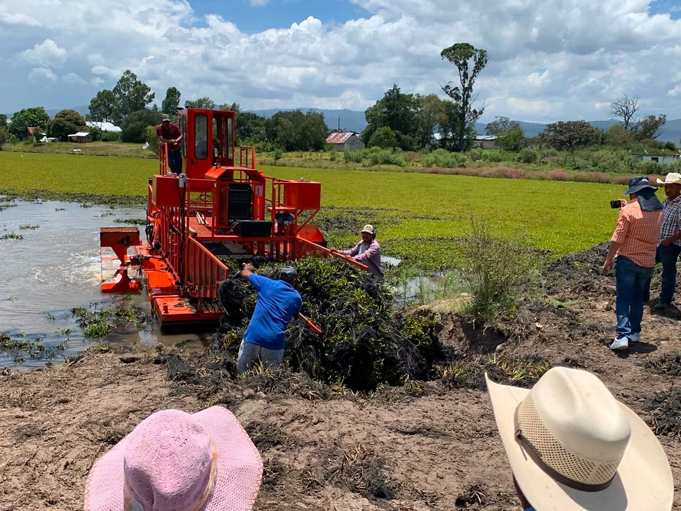 Presa Seca de Palma Antigua: Inicia su histórica recuperación
