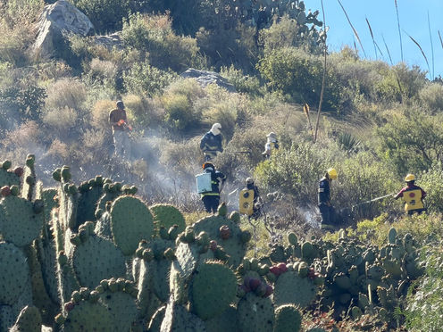 Sofocan Incendio en el Cerro del Zopilote de la Reforma