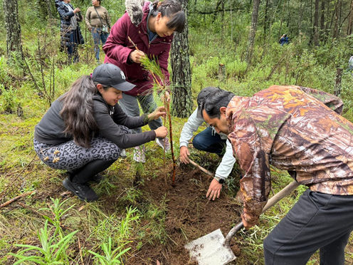 Convoca Mineral del Monte a reforestar el Bosque del Hiloche