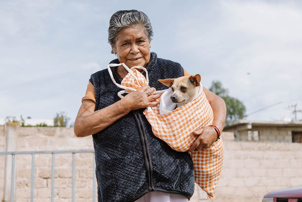 Mantiene Jorge Reyes jornadas de esterilización y vacunación en Pachuca