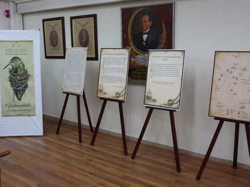 Presenta el Poder Judicial muestra sobre Mujeres Afrohidalguenses