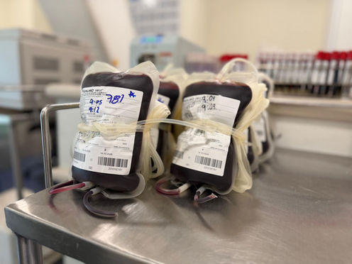 Donación de sangre en el IMSS Hidalgo