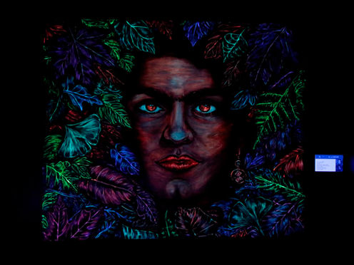 Inaugura la UAEH la exposición "El color de la noche"