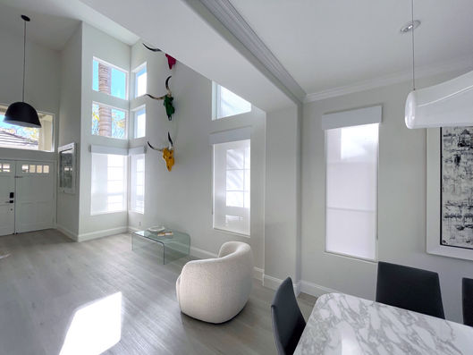 Roller Shades Translucent - House Entrance 01.JPG
