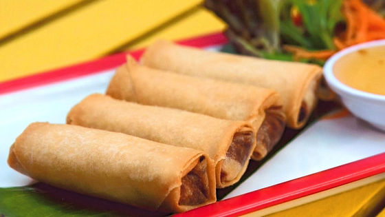 Vegetarian vegan spring roll