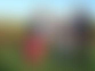 🌾 La campagne continue avec enthousiasme ! 🚶♀️🚶♂️