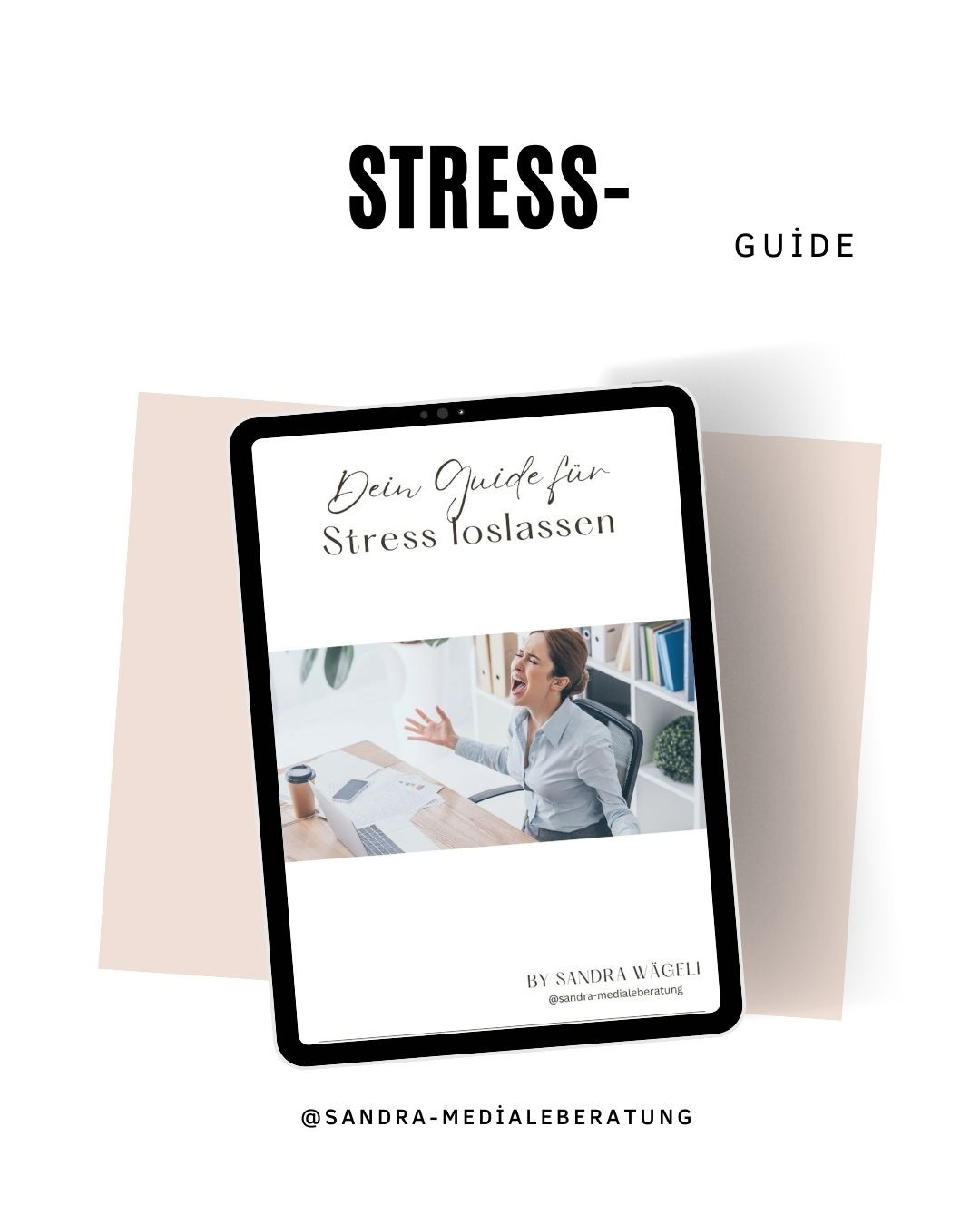 Dein Stress Guide