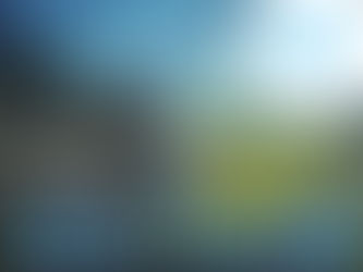 It’s time to book your full day wine tasting tour !