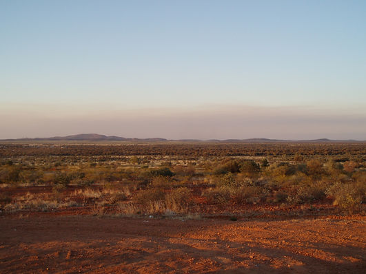 Central Australian desert at dusk, with low hills on the horizon and red earth, spinifex and scrub in the foreground