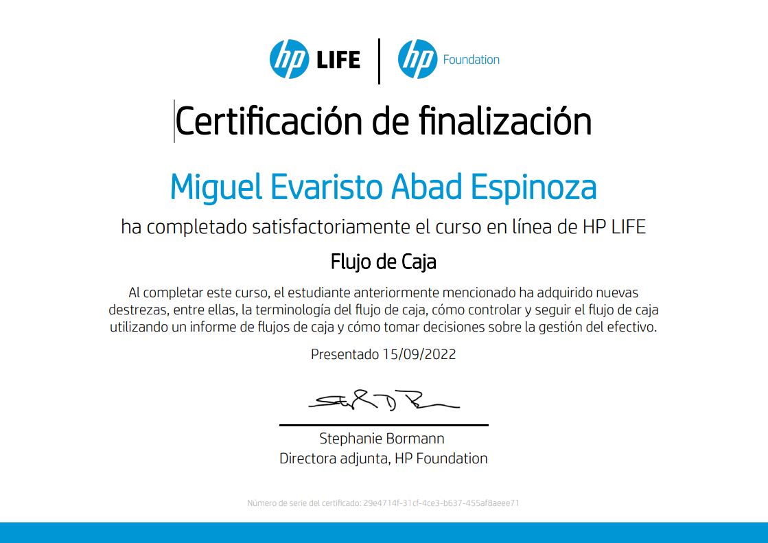 Flujo de Caja.JPG