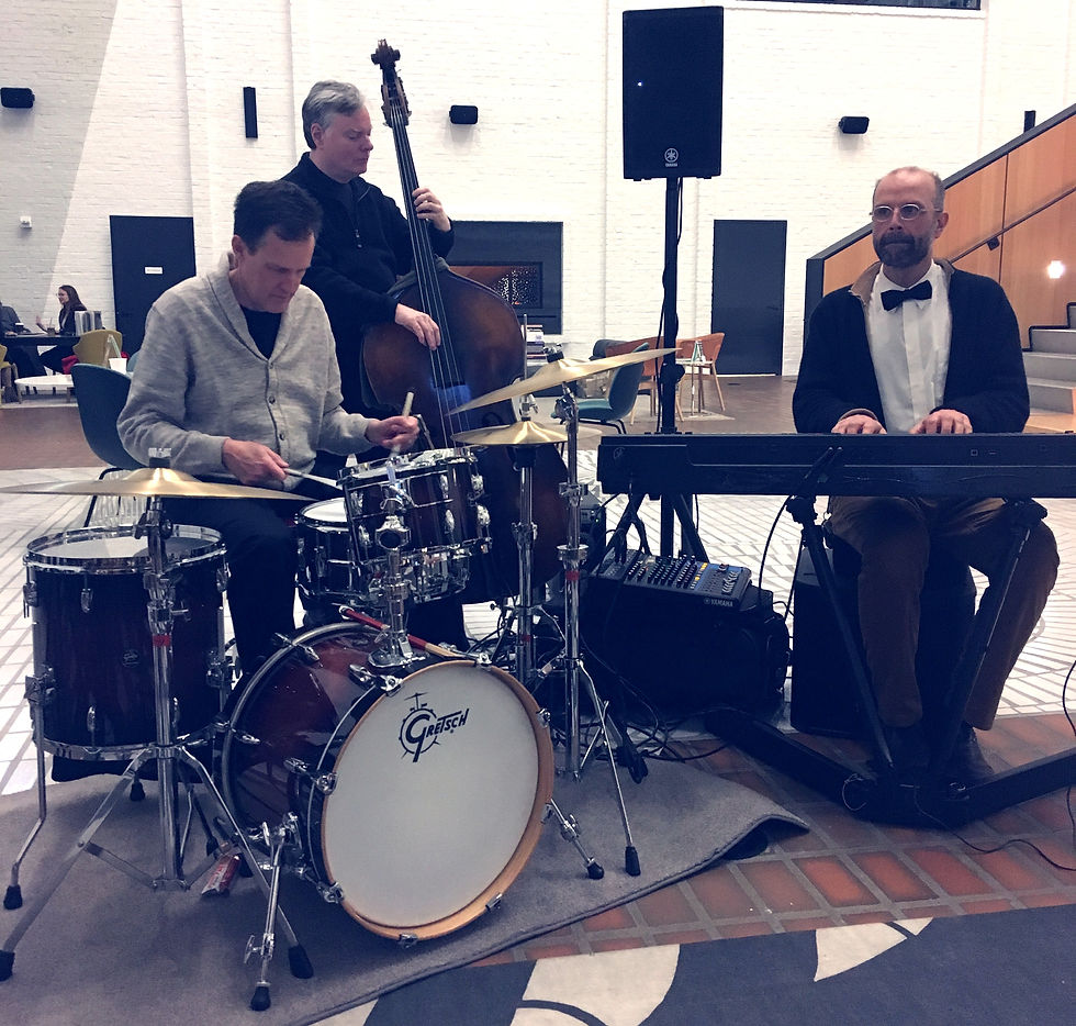Jon de Vaal Trio - Private Event