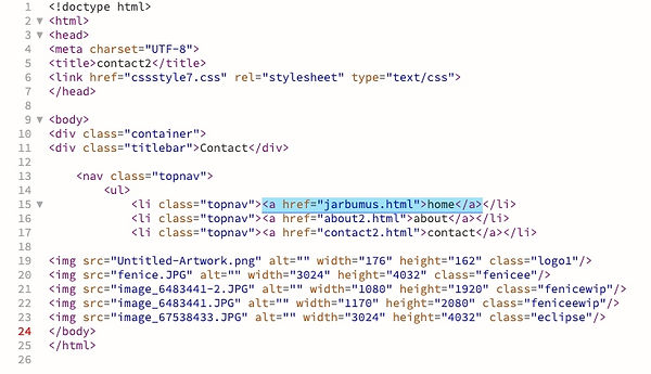 Image 2023-10-05 at 11.39 AM.jpeg