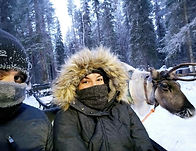 Rentier-Schlittenfahrt Lappland