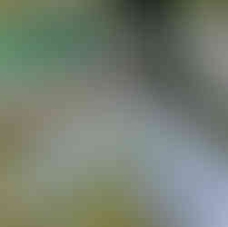 Rustikaler Holzsteg der über dem See im Nationalpark Plitvicer Seen