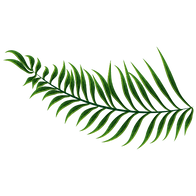 Logos La Floresta Studio (4).png