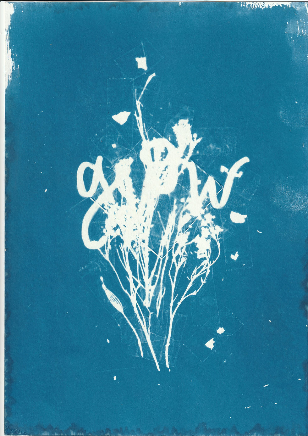 lasalle cyanotype