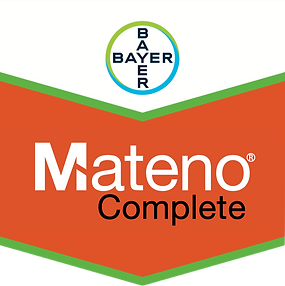 Mateno Final.png