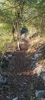 20220514_064106.jpg
