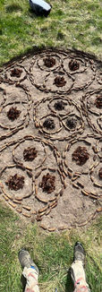 Twisted forest