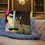 Thumbnail: Samurai Jack Basic Pillow