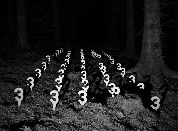 3 Shadows B&W.jpg