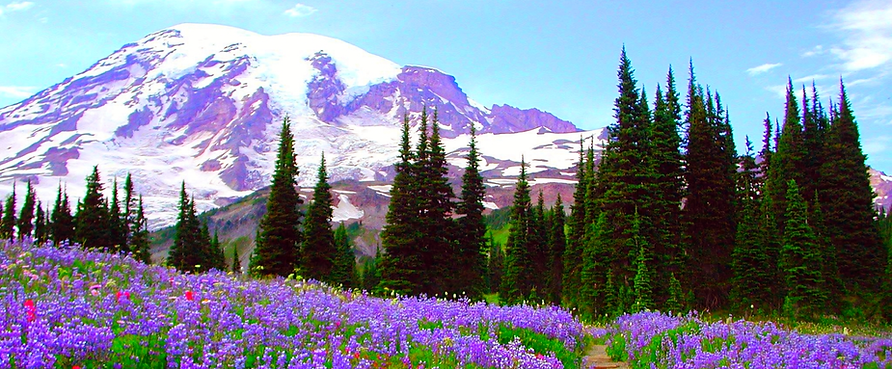 “Therapist offering compassionate, 1-on-1 support in a calming environment, symbolizing a personalized & holistic approach.