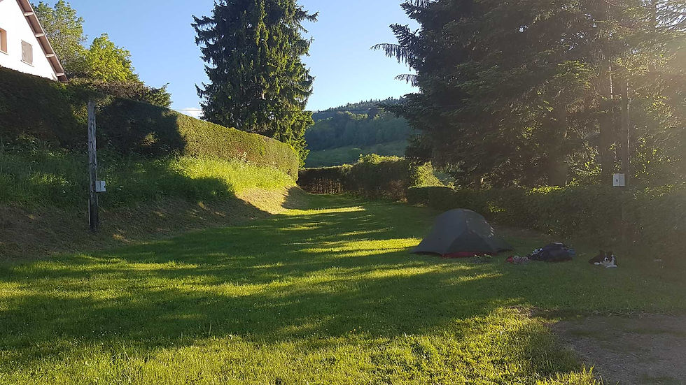 Randonnée GR 30 bivouac chien