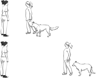 Chien influencé par déplacement maitre