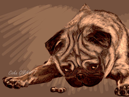 Comment choisir la bonne récompense pour son chien ?