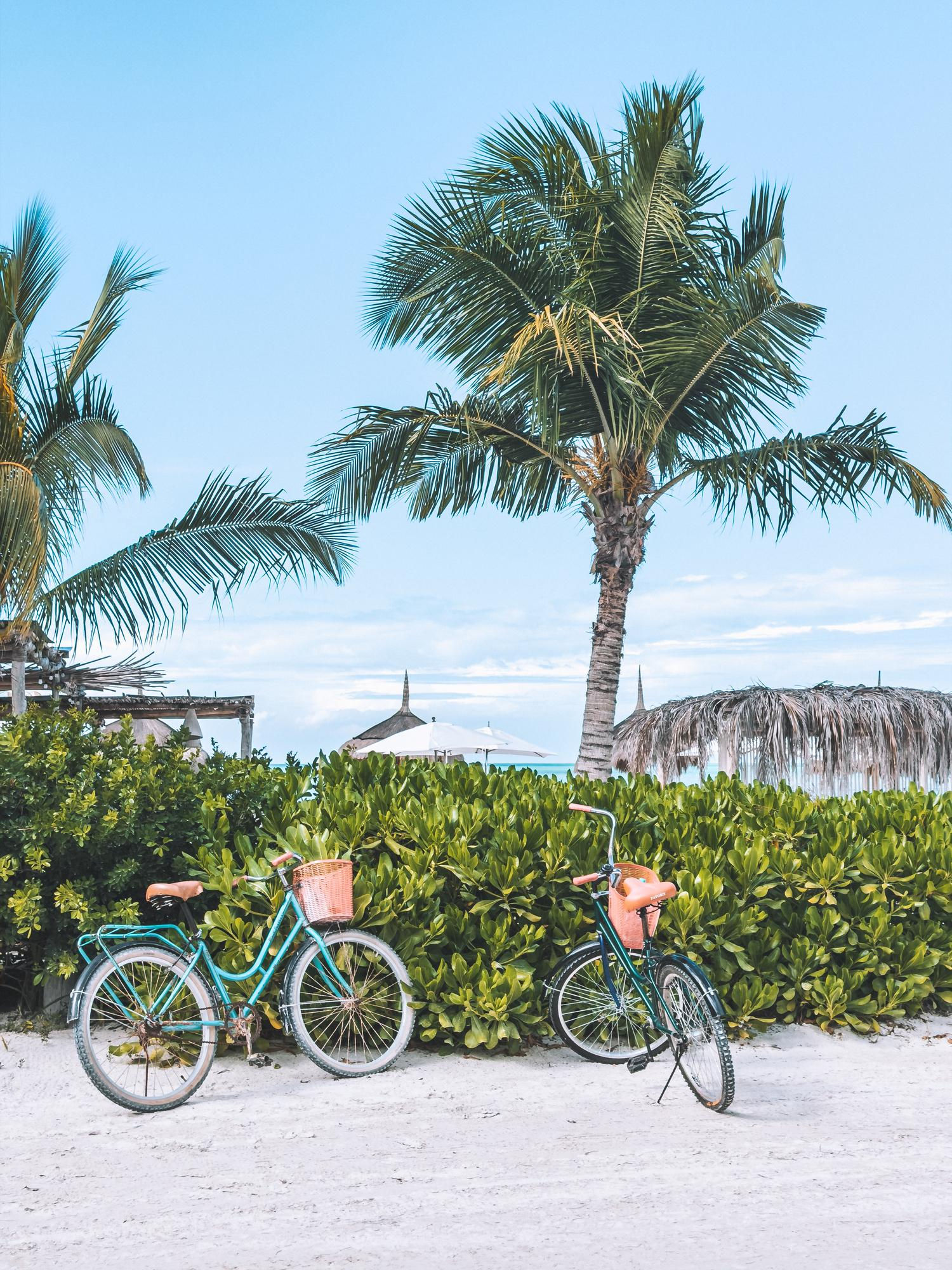 Passeio de Bike em La Digue