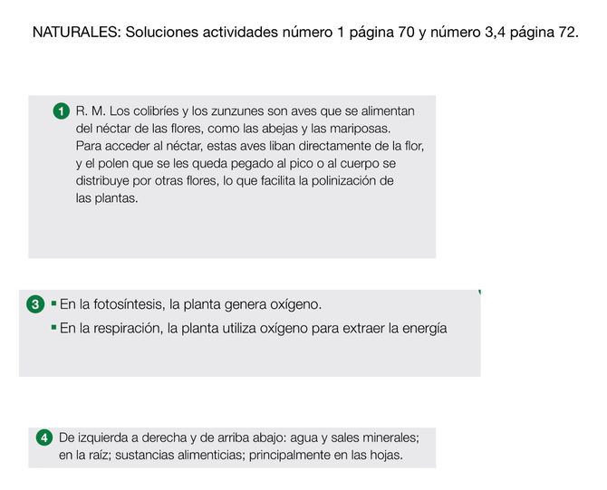 NATURALES: Soluciones