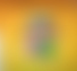 Lengua Tema 8: Descripciones