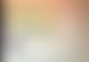 Actividad interactiva sobre palabras Homónimas.