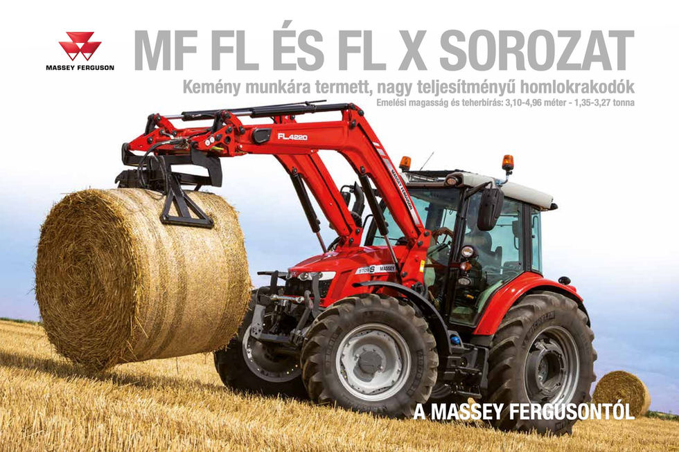 MF FL  1.jpeg