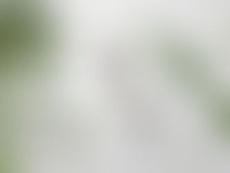 似顏繪插畫喜帖