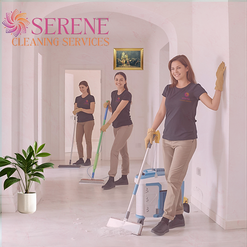 Professional Move-In/Out Cleaning Services
