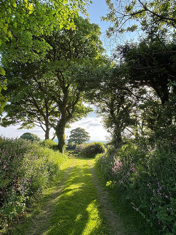 a view of the entrance to trewithen farm glamping site for luxury glamping holidays in Cornwall designed for couples