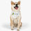 Thumbnail: Great Bridge Crew Pet Bandana Collar