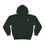 Thumbnail: Great Bridge Crew Rower Regatta Hoodie
