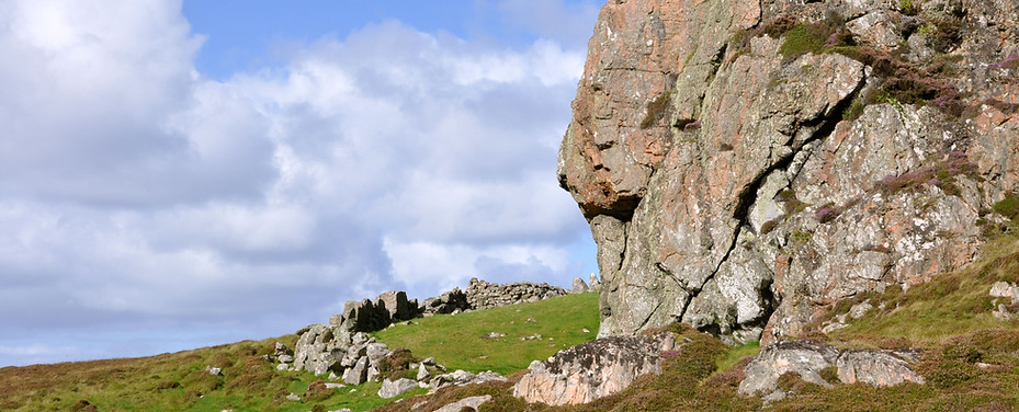 DSC_0572.jpg