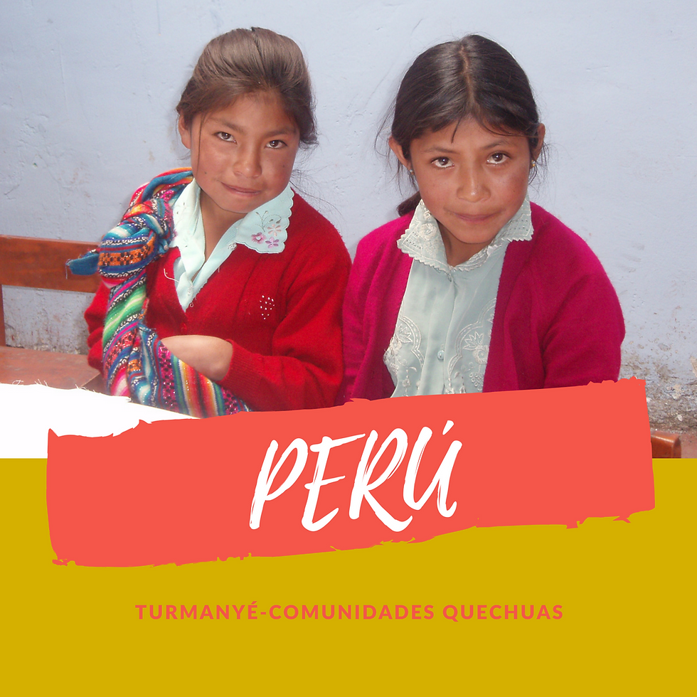 Apadrinamiento en Perú