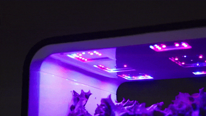 842f60299fa67300bddd6e8995a1b758_original.gif