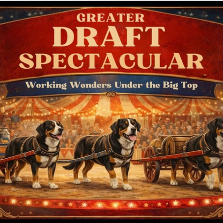 Two Day ALL BREED Draft Test.      April 11th & 12th in Napa, CA