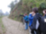Bird Monitoring with interns