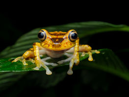 Exciting Updates from the Past Three Years!