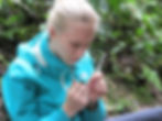 Taking pollen samples from a White-whiskered Hermit
